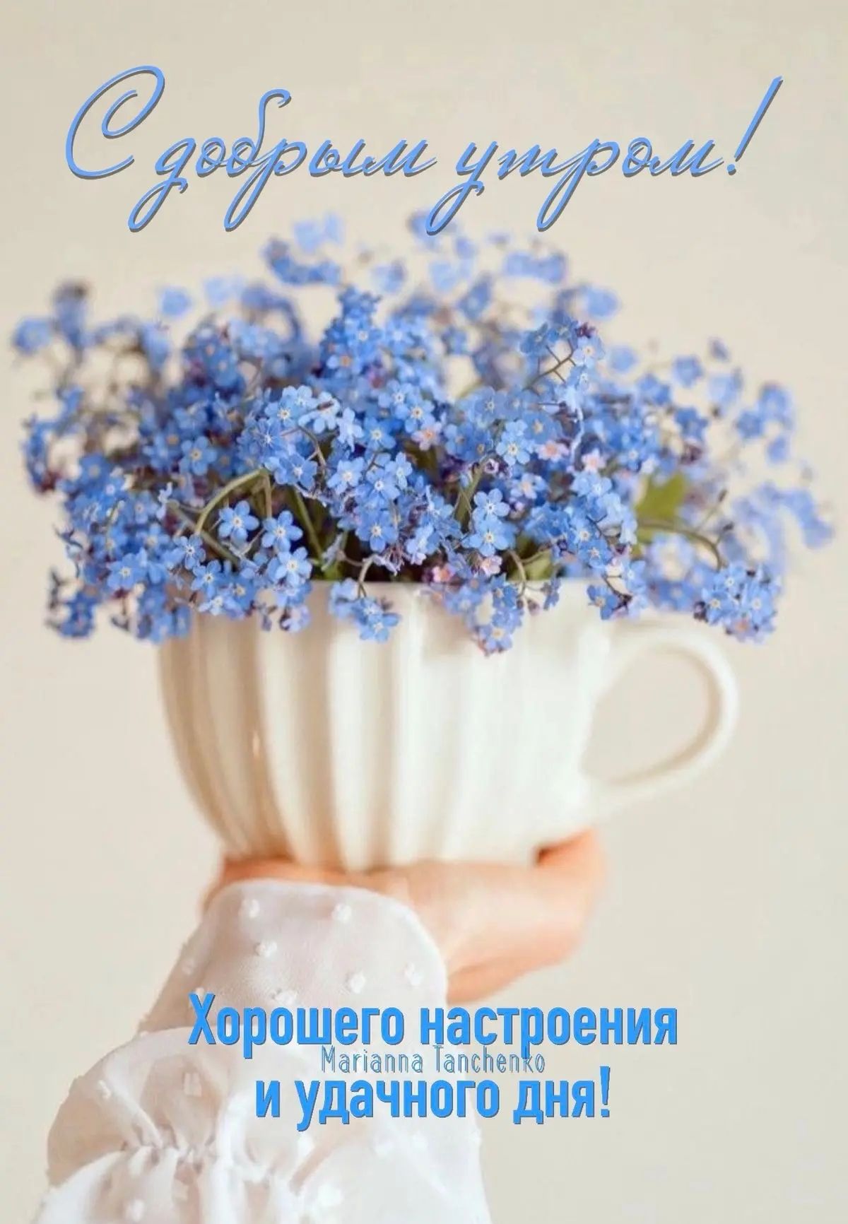 С добрым утром! Хорошего настроения и удачного дня! Marianna Tanchenko