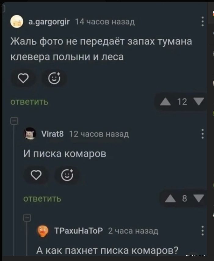Жаль фото не передаёт запах тумана клевера полыни и леса И писка комаров А как пахнет писка комаров?