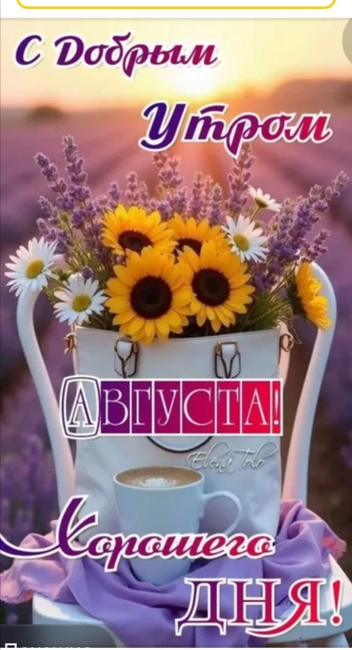 С добрым утром августа! Хорошего дня!