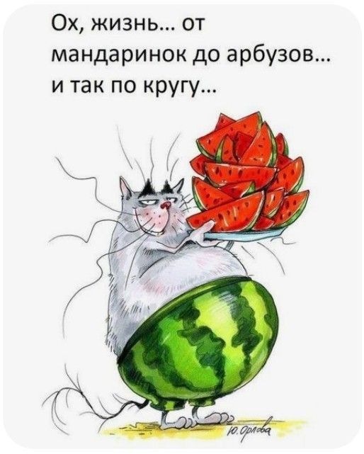 Ох, жизнь... от мандаринок до арбузов... и так по кругу...