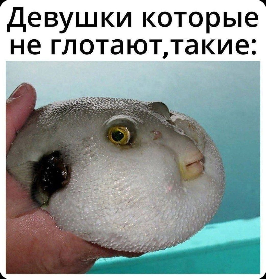 Девушки которые не глотают, такие: