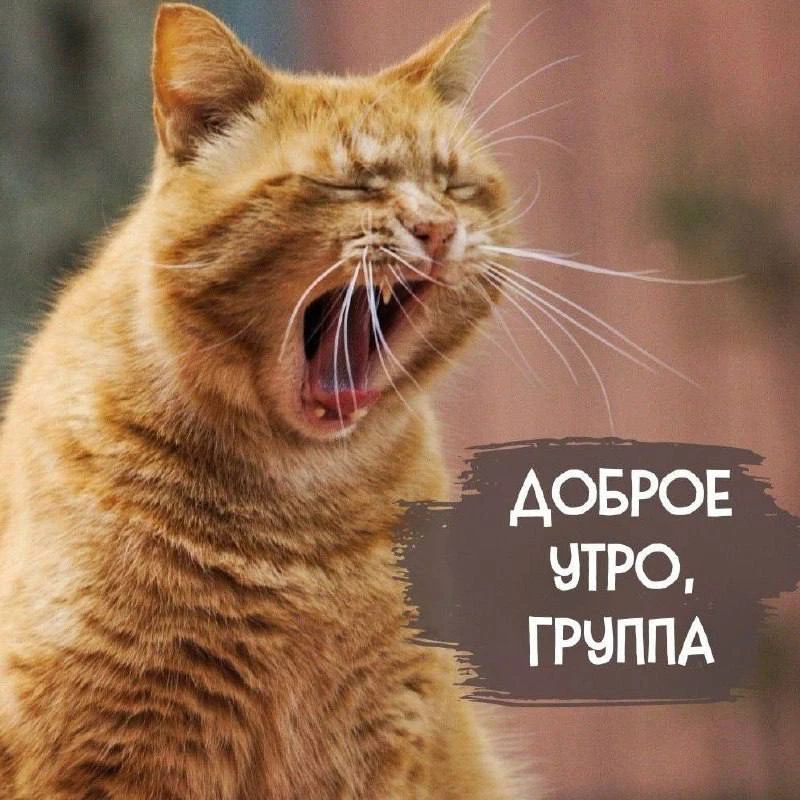 ДОБРОЕ УТРО, ГРУППА