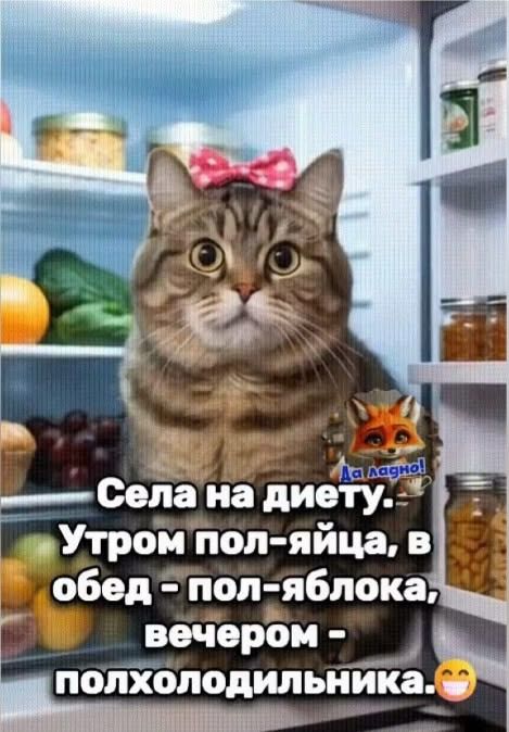 Села на диету. Утром пол-яйца, в обед - пол-яблока, вечером - полхолодильника.