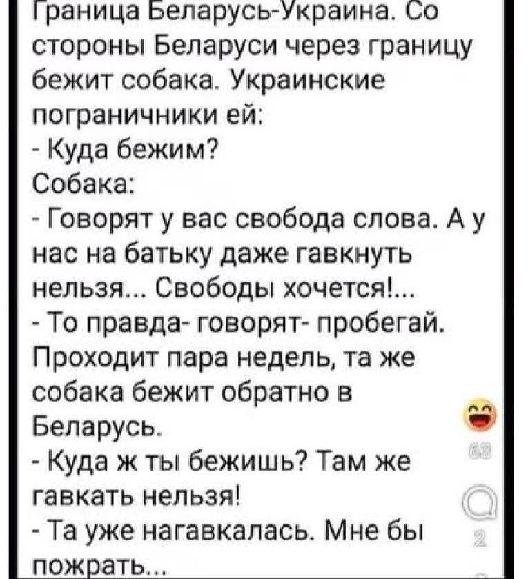 Граница Беларусь-Украина. Со стороны Беларуси через границу бежит собака. Украинские пограничники ей: - Куда бежим? Собака: - Говорят у вас свобода слова. А у нас на батьку даже гавкнуть нельзя... Свободы хочется!... - То правда- говорят- пробегай. Проходит пара недель, та же собака бежит обратно в Беларусь. - Куда ж ты бежишь? Там же гавкать