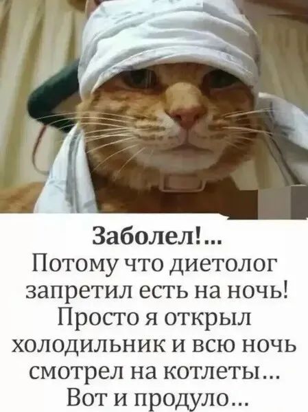 Заболел!... Потому что диетолог запретил есть на ночь! Просто я открыл холодильник и всю ночь смотрел на котлетки... Вот и продуло...