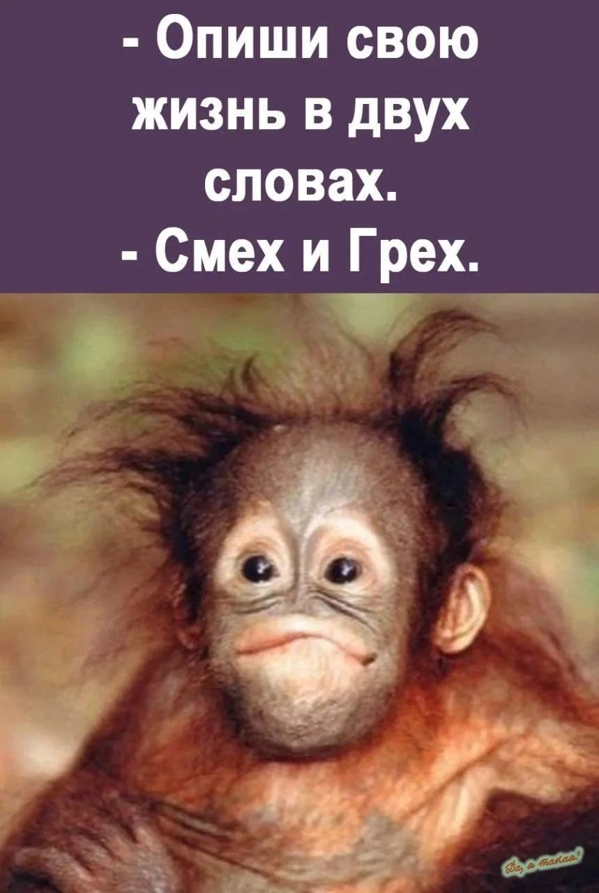 - Опиши свою жизнь в двух словах. - Смех и Грех.