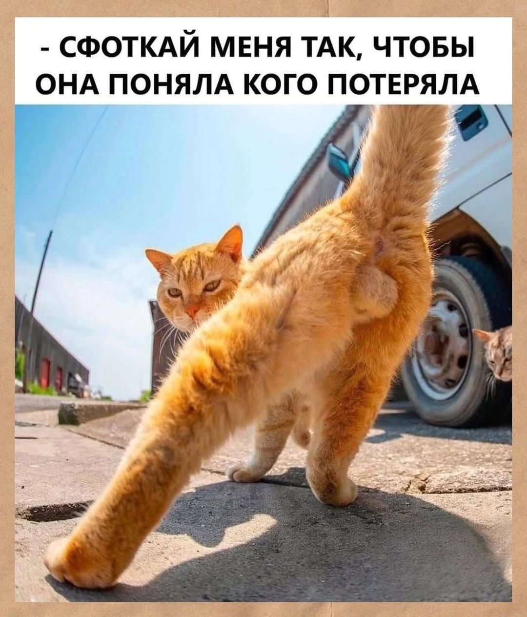 СФОТКАЙ МЕНЯ ТАК, ЧТОБЫ ОНА ПОНЯЛА КОГО ПОТЕРЯЛА