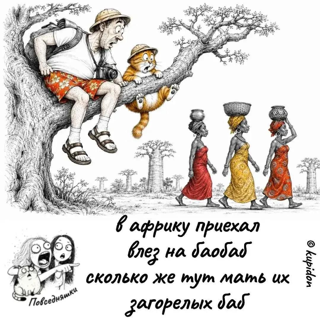 в африку приехал влез на баобаб сколько же тут мать их загорелых баб
