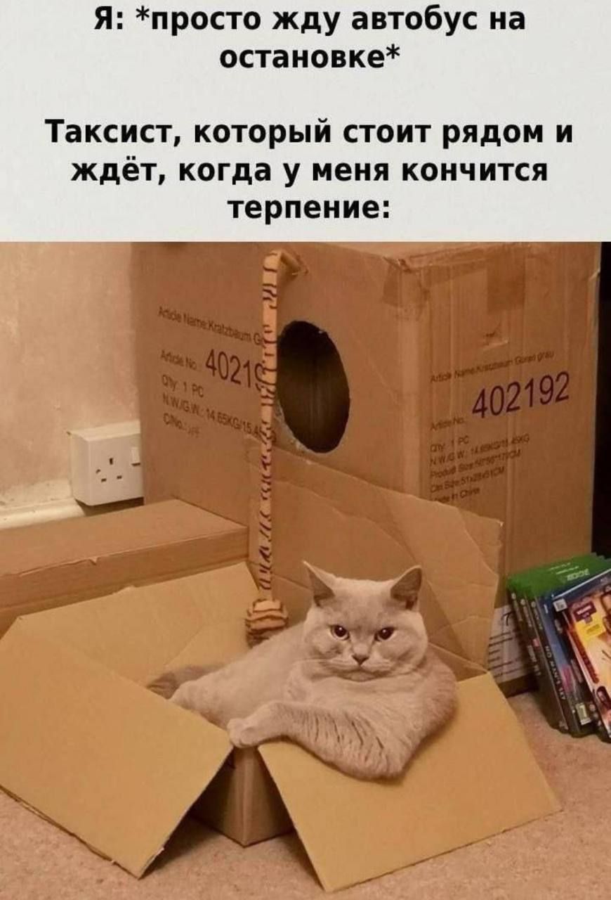 Я: *просто жду автобус на остановке* Таксист, который стоит рядом и ждёт, когда у меня кончится терпение: