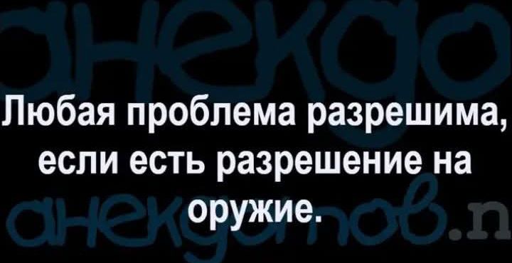 Любая проблема разрешима, если есть разрешение на оружие.