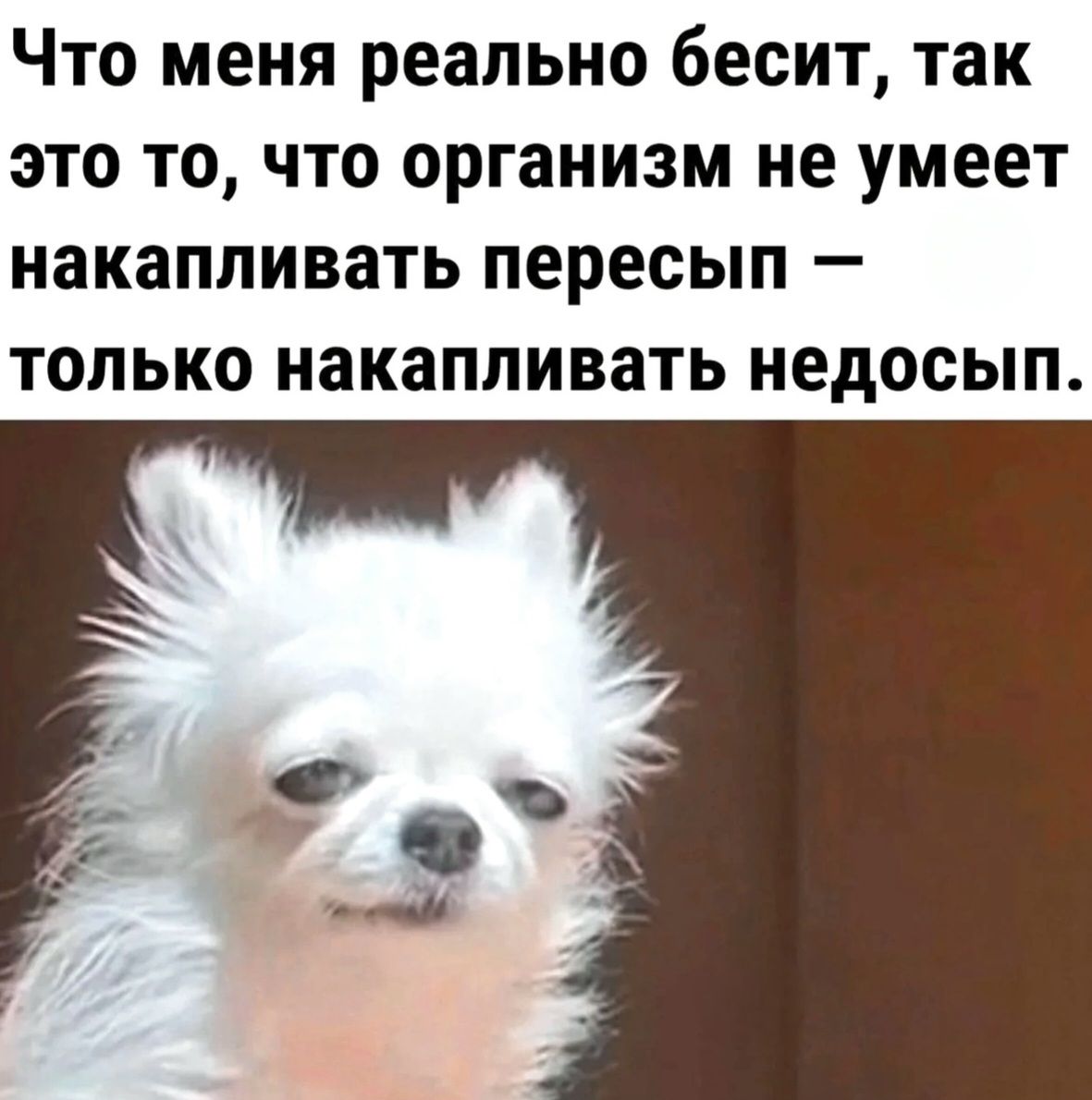 Что меня реально бесит, так это то, что организм не умеет накапливать пересып — только накапливать недосып.