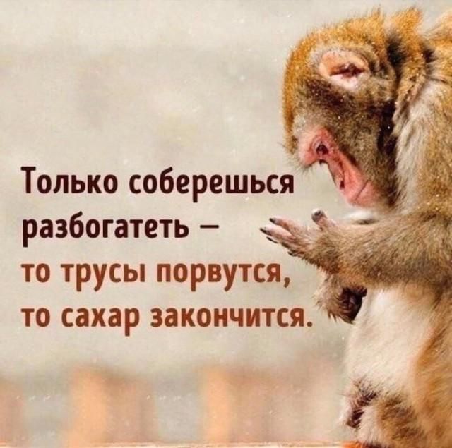 Только соберешься разбогатеть – то трусы порвутся, то сахар закончится.