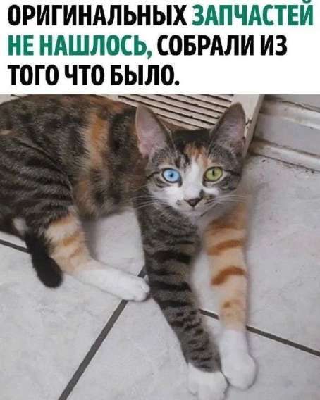 ОРИГИНАЛЬНЫХ ЗАПЧАСТЕЙ НЕ НАШЛОСЬ, СОБРАЛИ ИЗ ТОГО ЧТО БЫЛО.