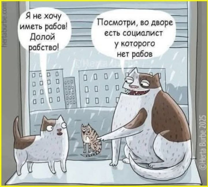 Я не хочу иметь рабов! Долой рабство! Посмотри, во дворе есть социалист у которого нет рабов