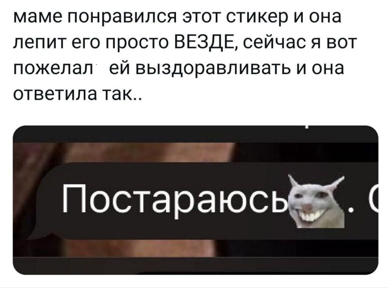 маме понравился этот стикер и она лепит его просто ВЕЗДЕ, сейчас я вот пожелал ей выздоравливать и она ответила так.. Постараюсь