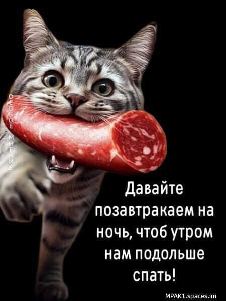 Давайте позавтракаем на ночь, чтоб утром нам подольше спать!