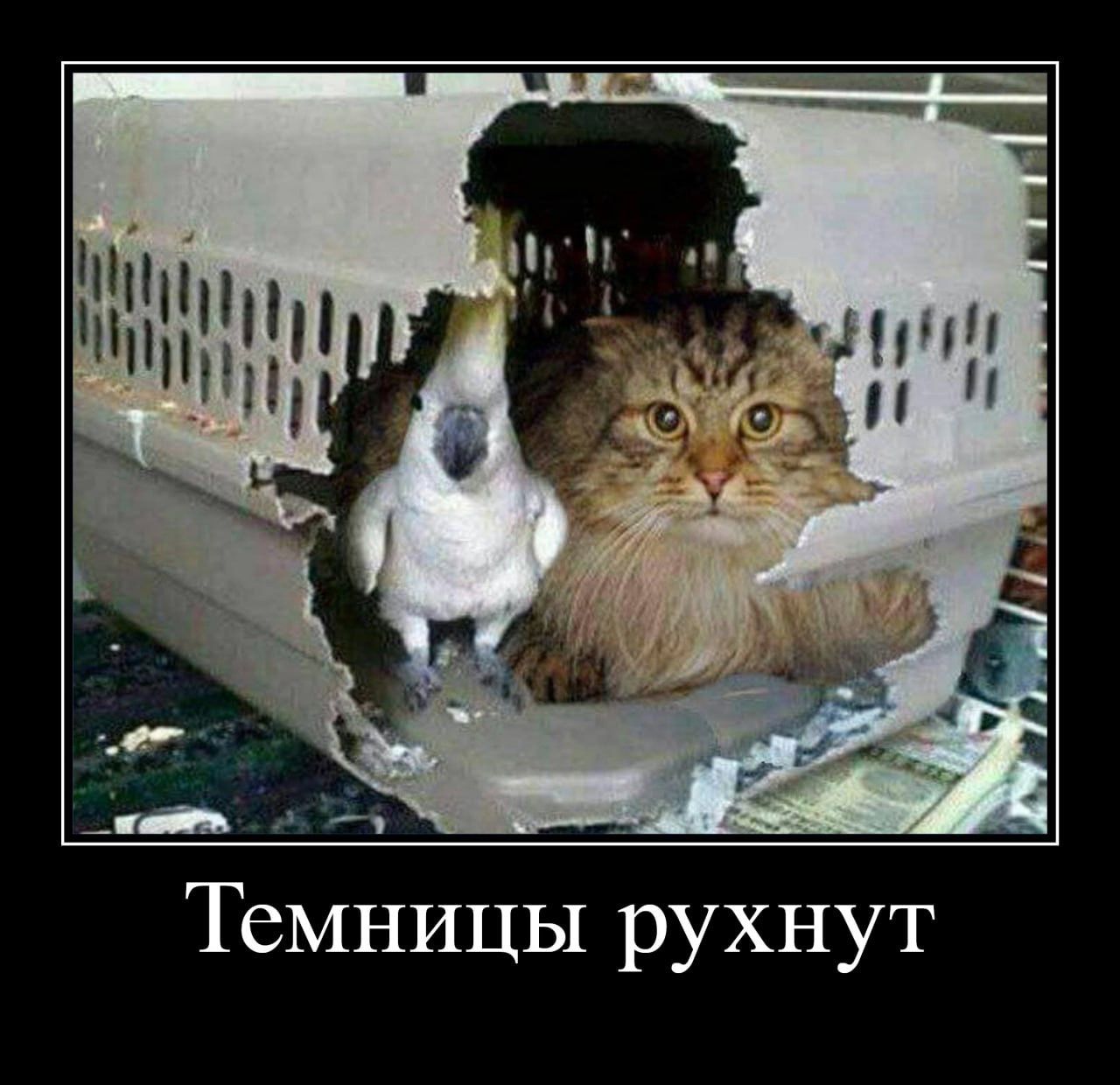 Темницы рухнут