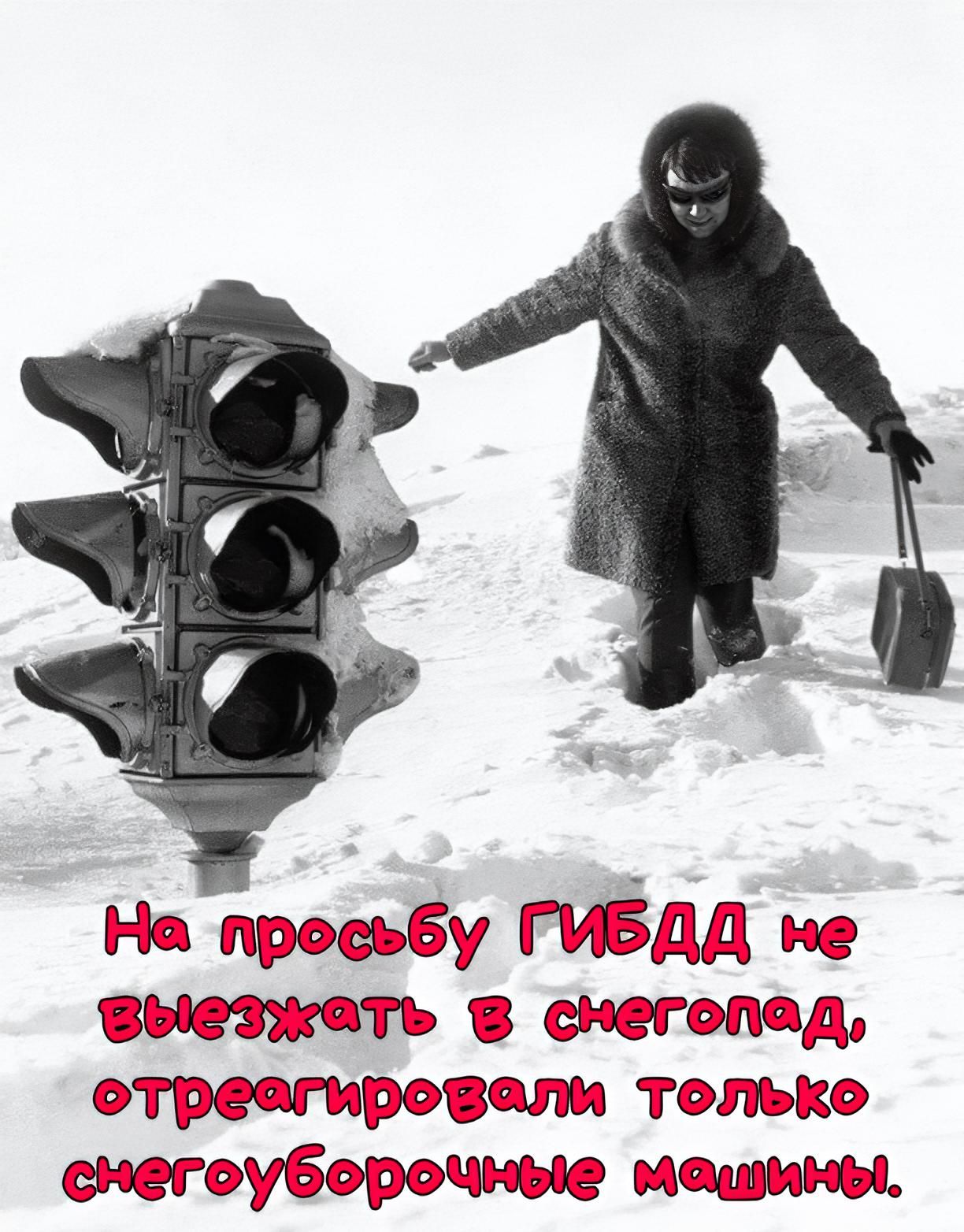 На просьбу ГИБДД не выезжать в снегопад, отреагировали только снегоуборочные машины.