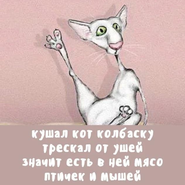 кушал кот колбаску трескал от ушей значит есть в ней мясо птичек и мышей