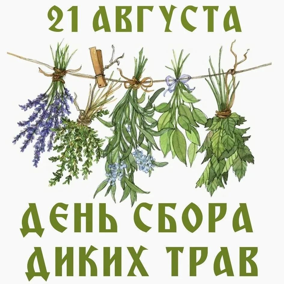 21 августа день сбора диких трав