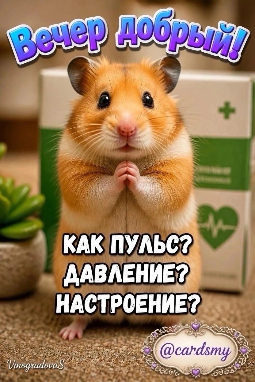 Вечер добрый! Как пульс? Давление? Настроение? VinogradovaS @cardsmy