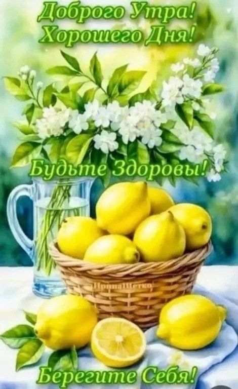 Доброго Утра! Хорошего Дня! Будьте Здоровы! Берегите Себя!
