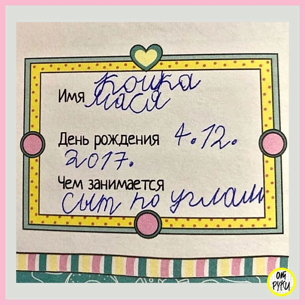 Имя Кошка Мася День рождения 4.12.2017. Чем занимается ссыт по углам
