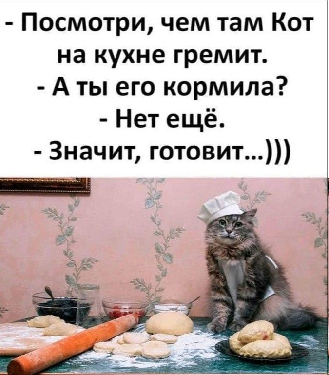 Посмотри, чем там Кот на кухне гремит. А ты его кормила? Нет ещё. Значит, готовит...)))