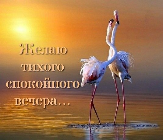 Желаю тихого спокойного вечера...