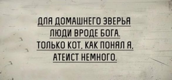 ДЛЯ ДОМАШНЕГО ЗВЕРЬЯ ЛЮДИ ВРОДЕ БОГА. ТОЛЬКО КОТ, КАК ПОНЯЛ Я, АТЕИСТ НЕМНОГО.