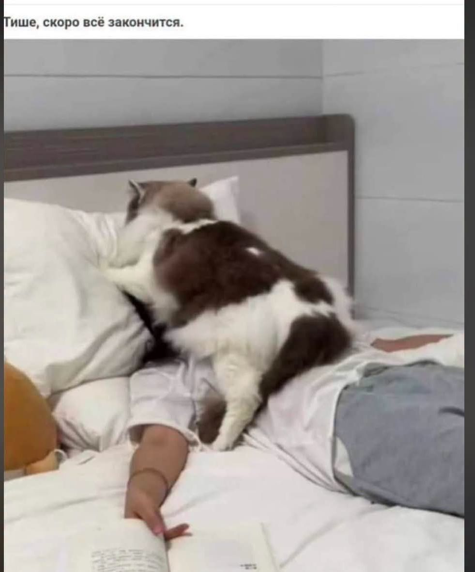 Тише, скоро всё закончится.