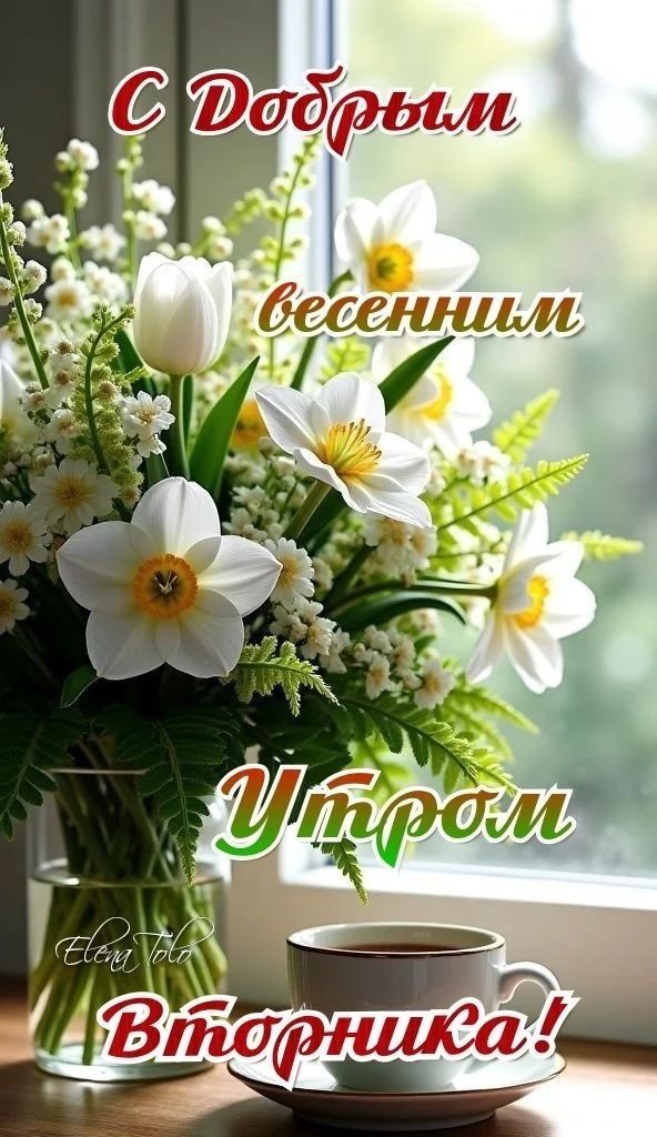С Добрым весенним Утром Вторника! Elena Tolo
