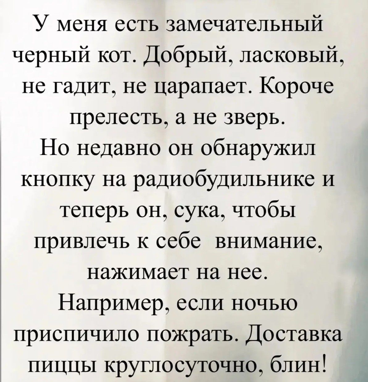 У меня есть замечательный черный кот. Добрый, ласковый, не гадит, не царапает. Короче прелесть, а не зверь. Но недавно он обнаружил кнопку на радиобудильнике и теперь он, сука, чтобы привлечь к себе внимание, нажимает на нее. Например, если ночью приспичило пожрать. Доставка пиццы круглосуточно, блин!