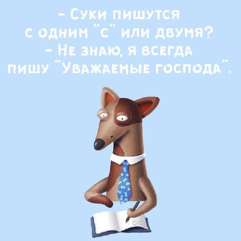 - Суки пишутся с одним 