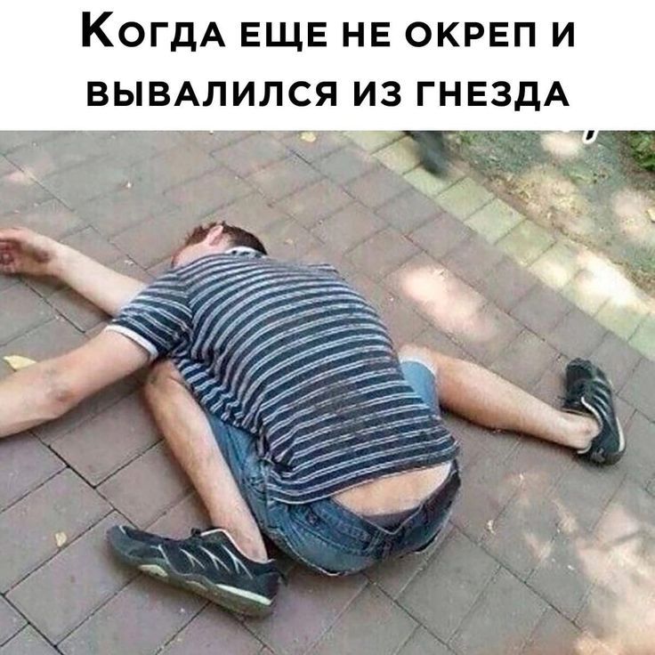 Когда еще не окреп и вывалился из гнезда