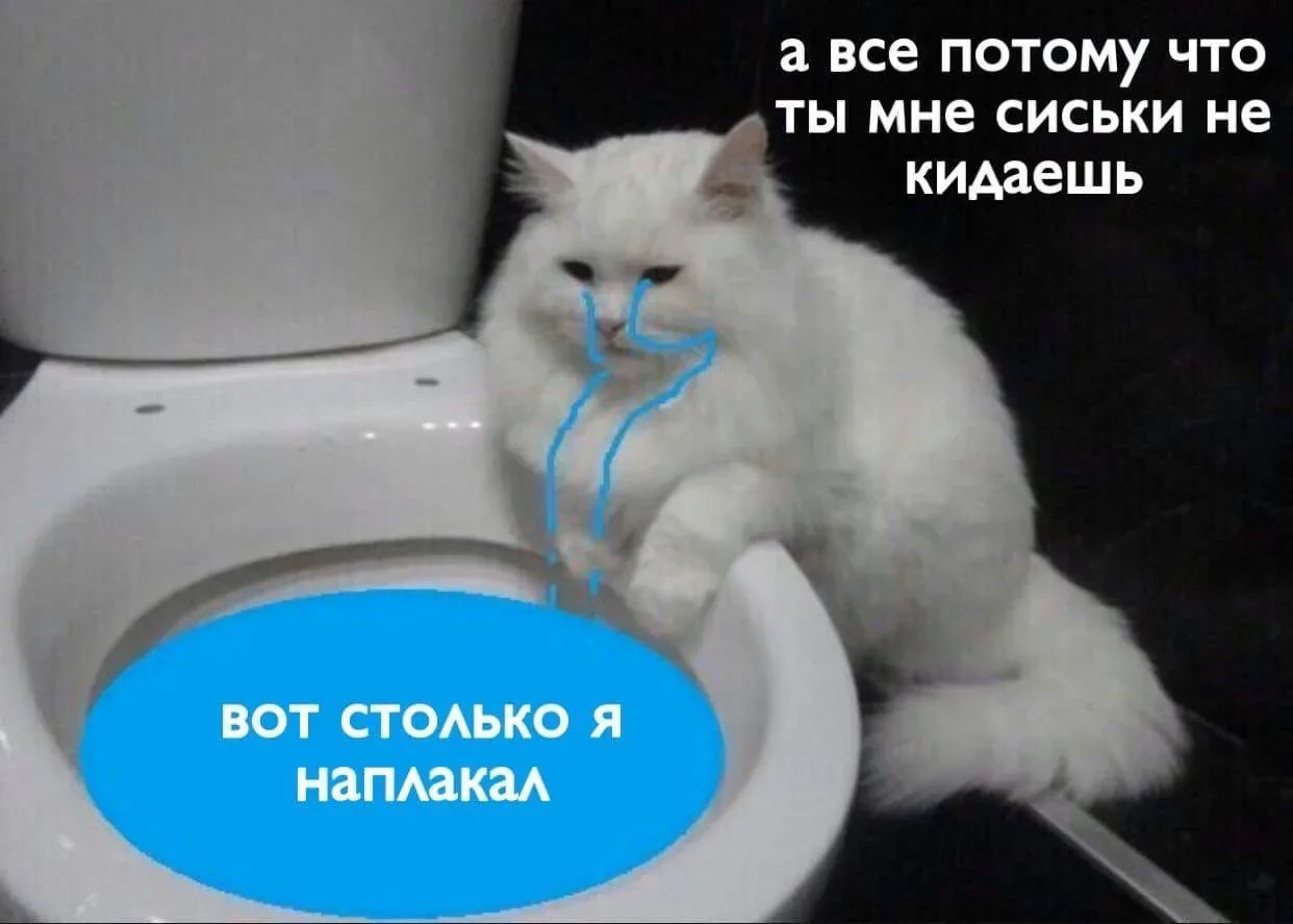 а все потому что ты мне сиськи не кидаешь
ВОТ СТОЛЬКО Я НАПЛАКАЛ
