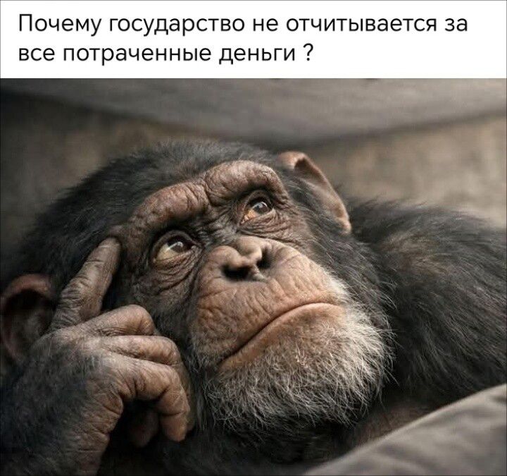 Почему государство не отчитывается за все потраченные деньги?