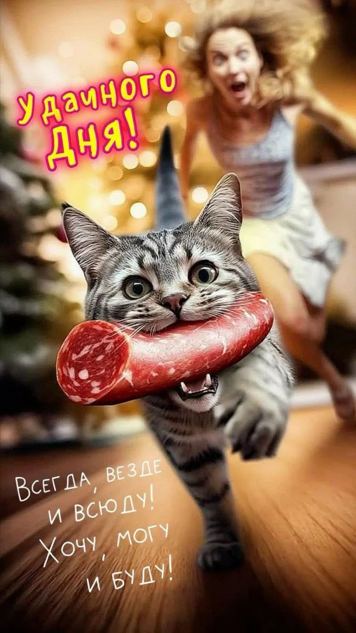 Удачного дня! Всегда, везде и всюду! Хочу, могу и буду!