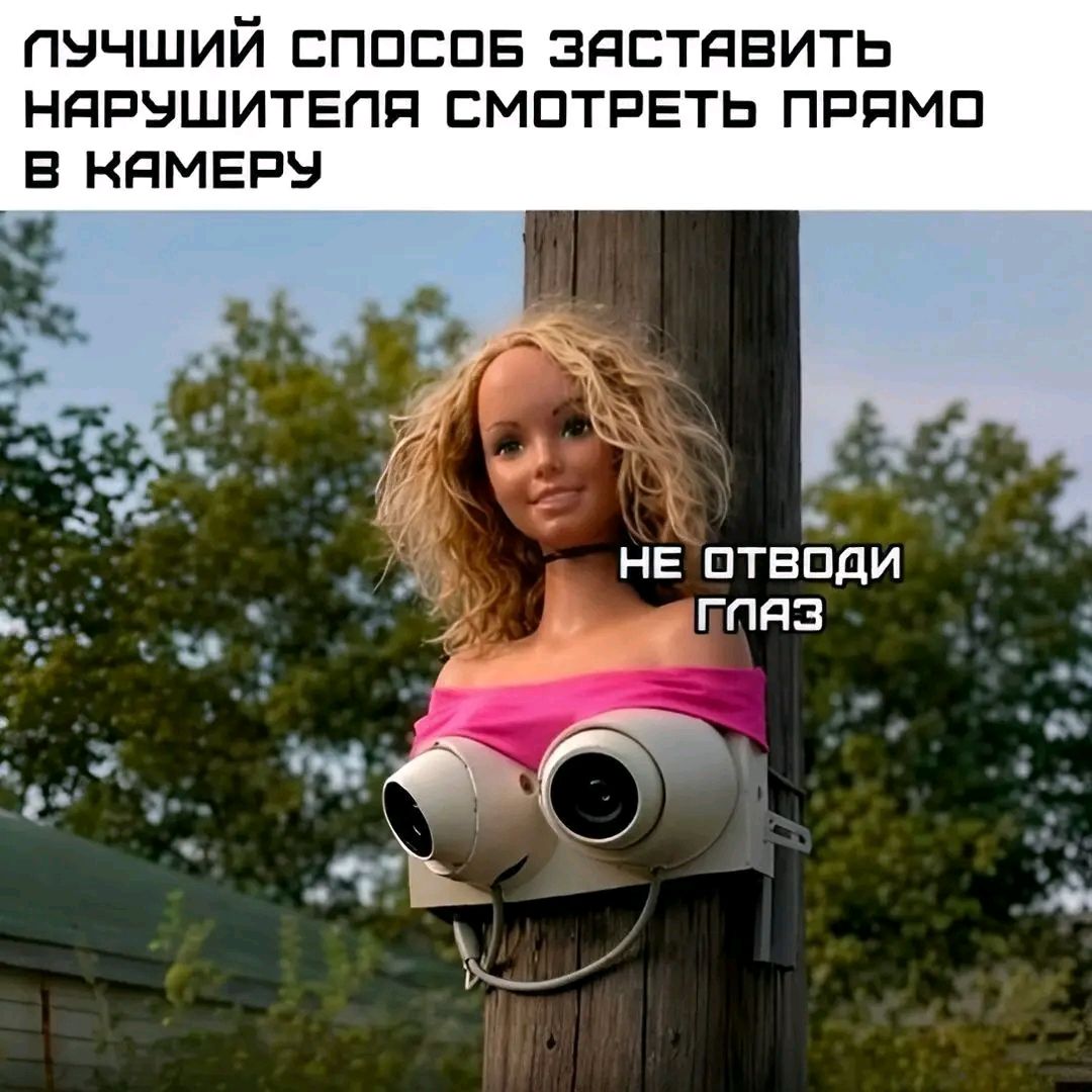 ЛУЧШИЙ СПОСОБ ЗАСТАВИТЬ НАРУШИТЕЛЯ СМОТРЕТЬ ПРЯМО В КАМЕРУ НЕ ОТВОДИ ГЛАЗ