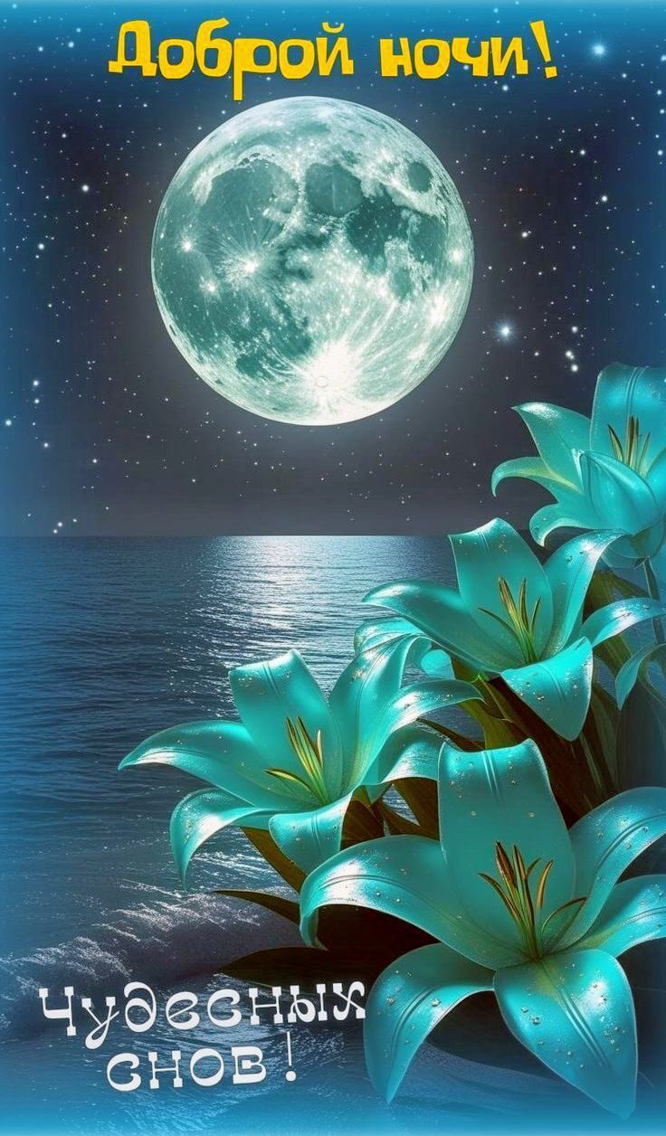 Доброй ночи! Чудесных снов!