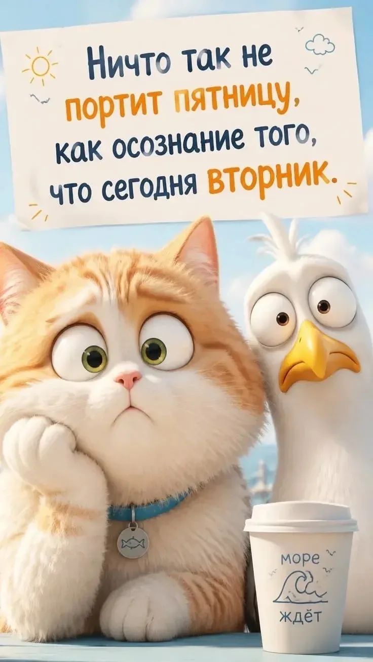 Ничто так не портит пятницу, как осознание того, что сегодня вторник. море ждёт