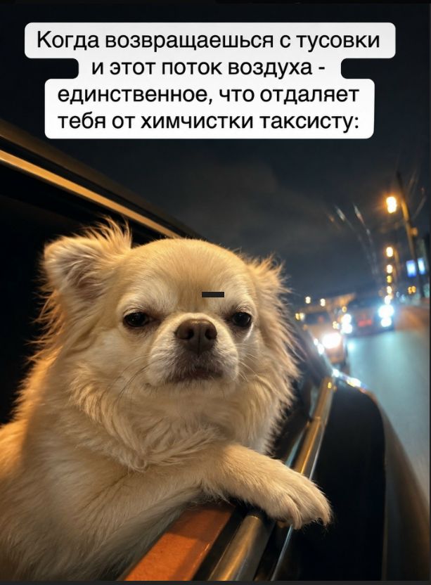 Когда возвращаешься с тусовки и этот поток воздуха - единственное, что отдаляет тебя от химчистки таксисту: