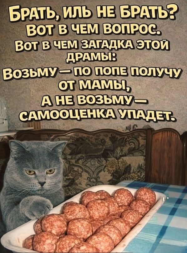 БРАТЬ, ИЛЬ НЕ БРАТЬ? ВОТ В ЧЕМ ВОПРОС. ВОТ В ЧЕМ ЗАГАДКА ЭТОЙ ДРАМЫ: ВОЗЬМУ — ПО ПОПЕ ПОЛУЧУ ОТ МАМЫ, А НЕ ВОЗЬМУ — САМООЦЕНКА УПАДЕТ.