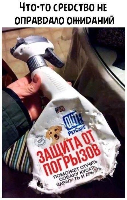 Что-то средство не оправдало ожиданий. ЗАЩИТА ОТ ПОГРЫЗОВ. Поможет отучить собаку кусать, царапать и грызть.
