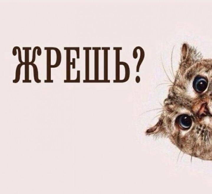 Жрешь?