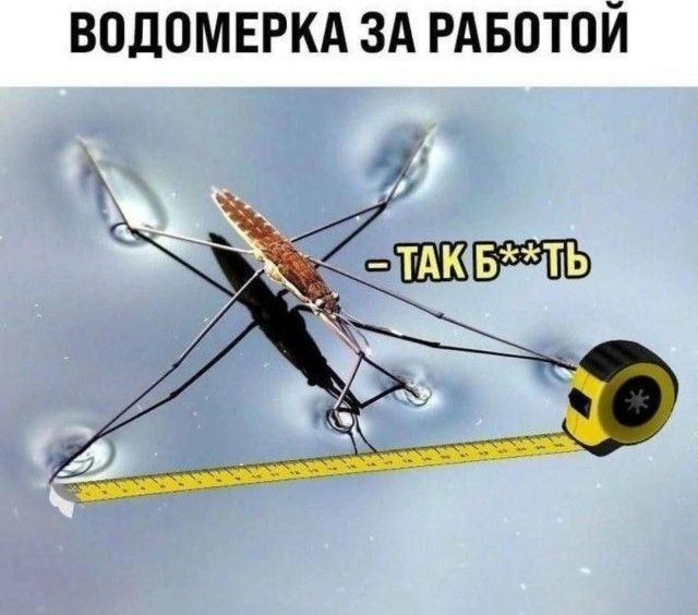 ВОДОМЕРКА ЗА РАБОТОЙ - ТАК Б***ТЬ