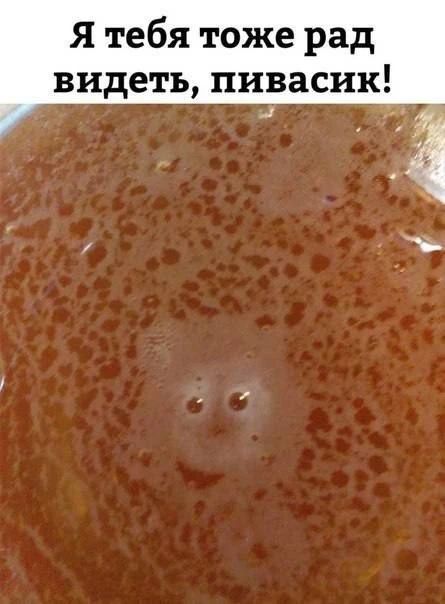 Я тебя тоже рад видеть, пивасик!