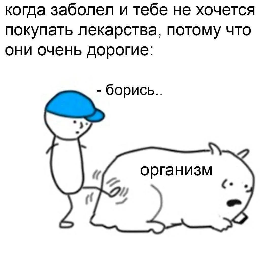 когда заболел и тебе не хочется покупать лекарства, потому что они очень дорогие: - борись.. организм