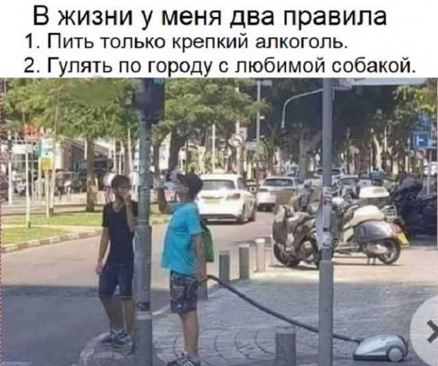 В жизни у меня два правила 1. Пить только крепкий алкоголь. 2. Гулять по городу с любимой собакой.