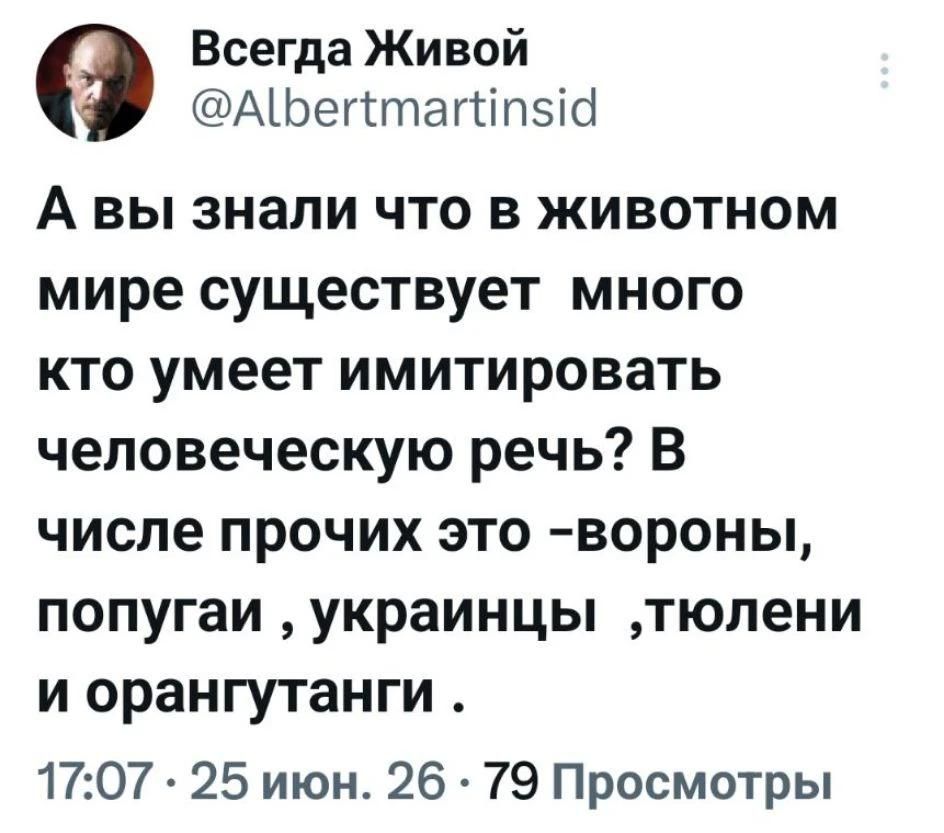 А вы знали что в животном мире существует много кто умеет имитировать человеческую речь? В числе прочих это -вороны, попугаи, украинцы ,тюлени и орангутанги .